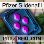 Pfizer Sildénafil 04